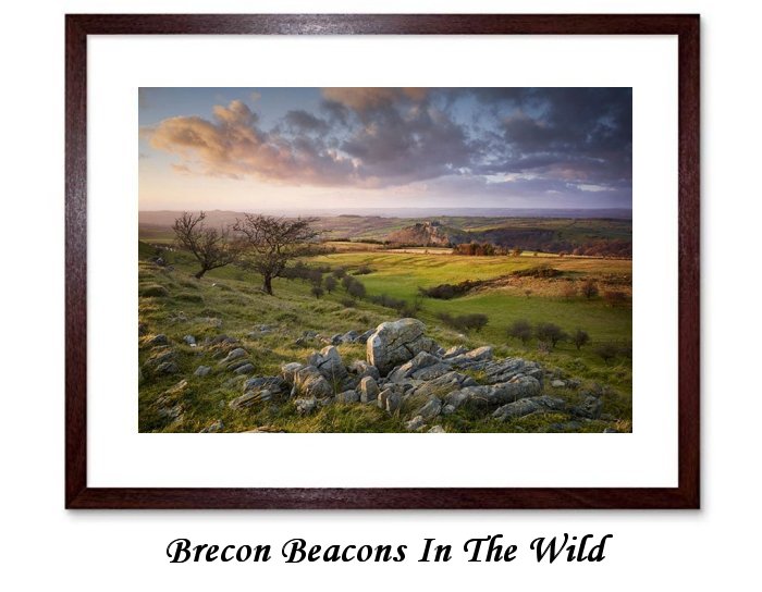 Brecon Beacons In The Wild Framed Print